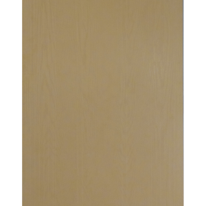 Flush Textured Fiberglass Door